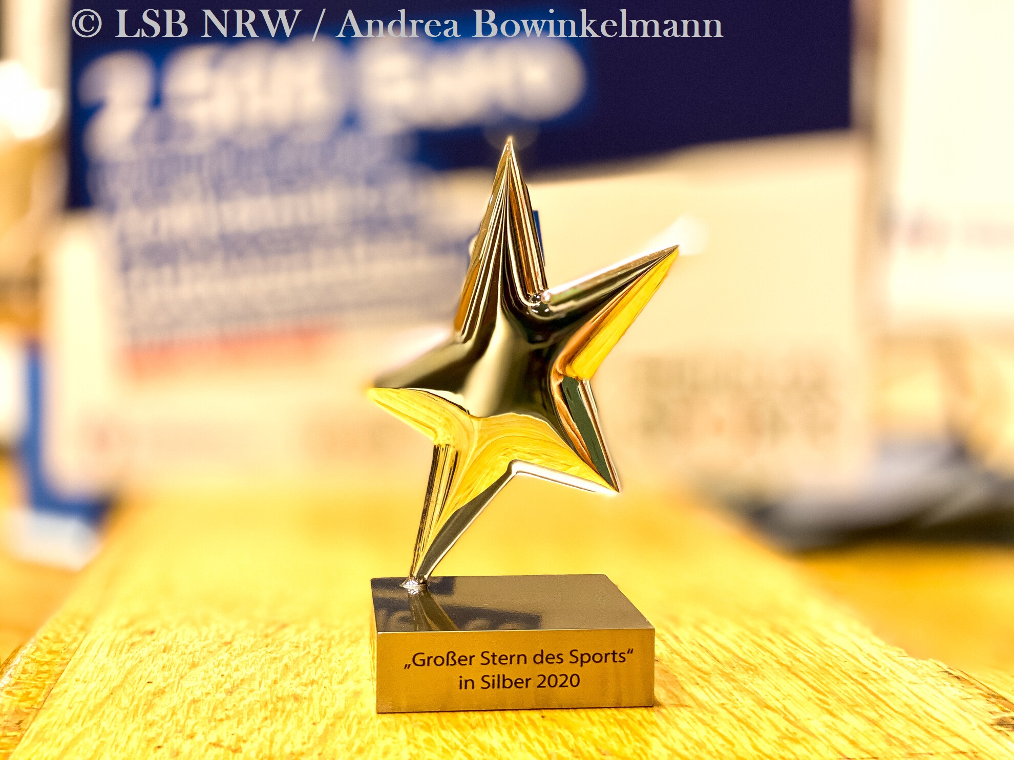 20210408 SternedesSports